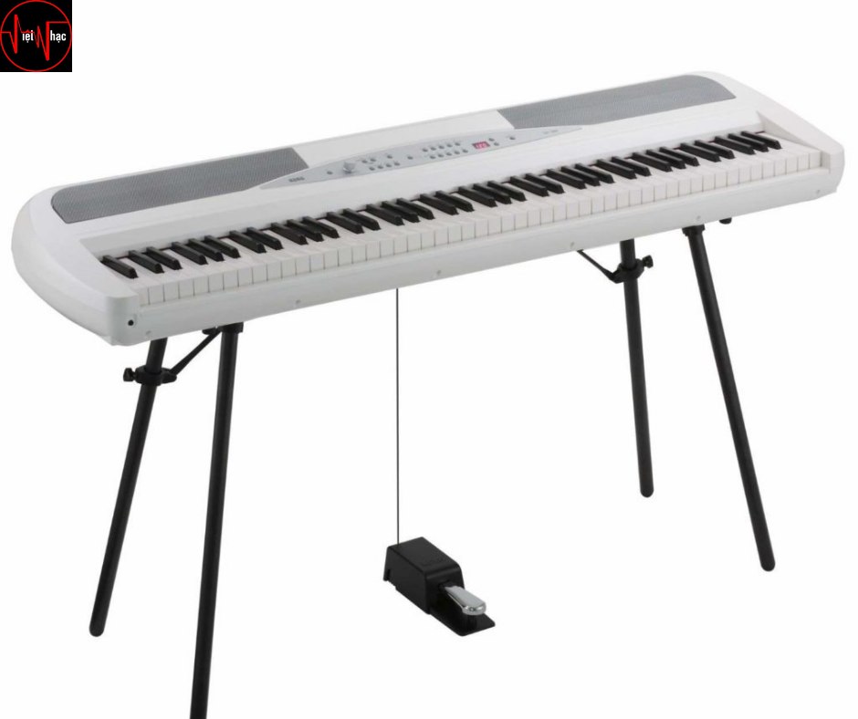 Chân Đàn Piano Korg STD Bộ Trang Sức Đắt Giá Cho Cây Đàn Của Bạn