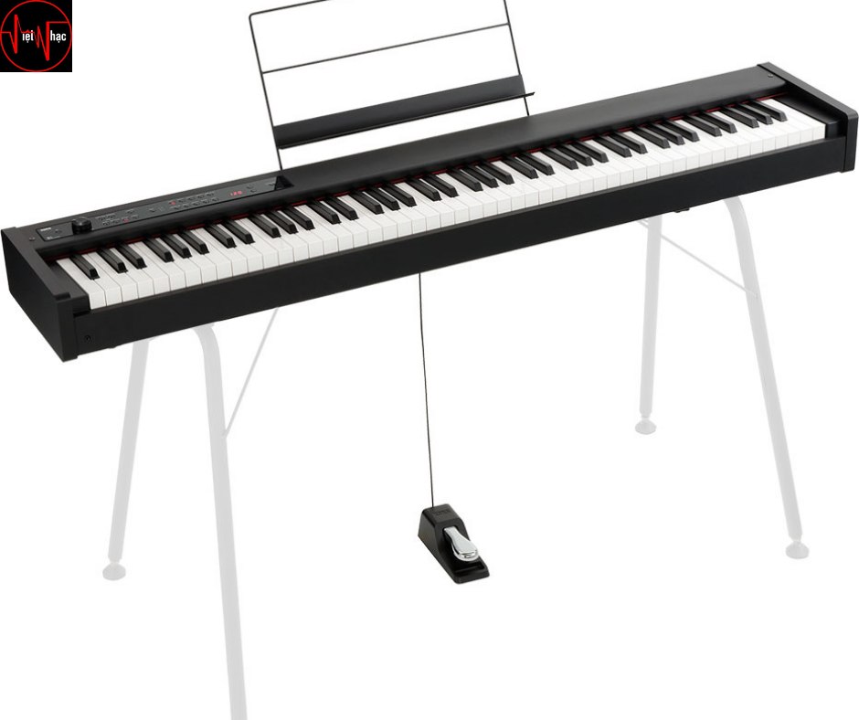 Chân Đàn Piano Korg STD Bộ Trang Sức Đắt Giá Cho Cây Đàn Của Bạn
