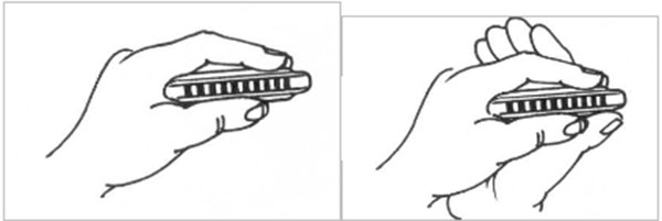 Hướng Dẫn Chơi Kèn Hamonica Cho Người Mới