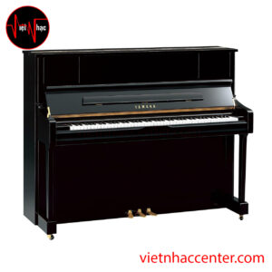 SỰ KHÁC NHAU GIỮA ĐÀN PIANO VÀ ORGAN