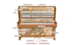 SỰ KHÁC NHAU GIỮA ĐÀN PIANO VÀ ORGAN