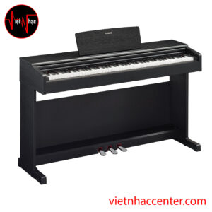 Piano Điện Yamaha YDP-145B