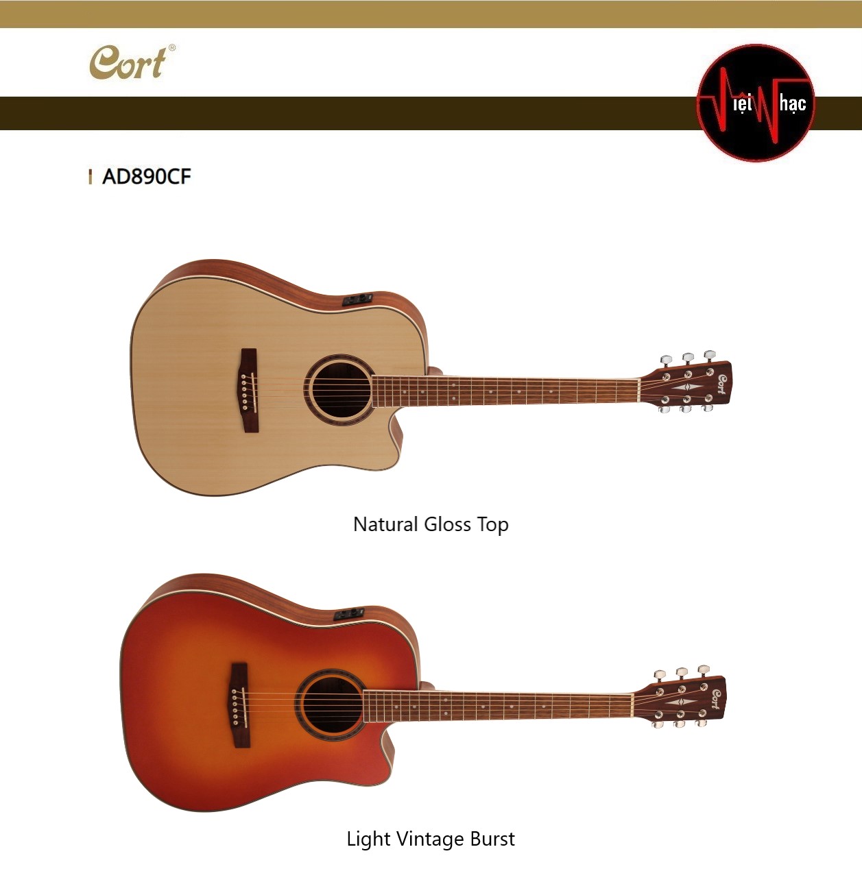 Guitar Acoustic Cort AD890CF