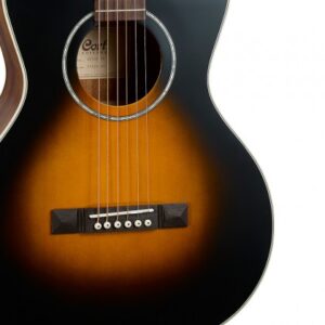 Guitar Acoustic Cort AP550