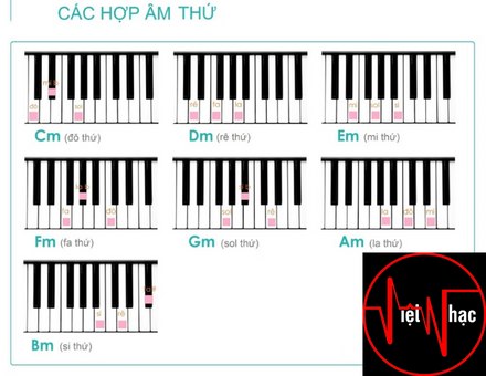 2 CÁCH ĐÁNH ĐÀN PIANO CƠ BẢN