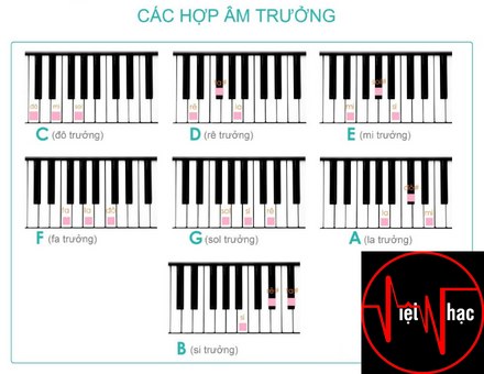 2 CÁCH ĐÁNH ĐÀN PIANO CƠ BẢN