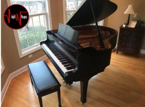 Tổng quan các dòng đàn piano cơ Yamaha