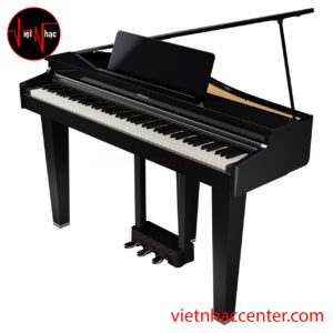 Piano Điện Mini Grand Roland GP3 PE