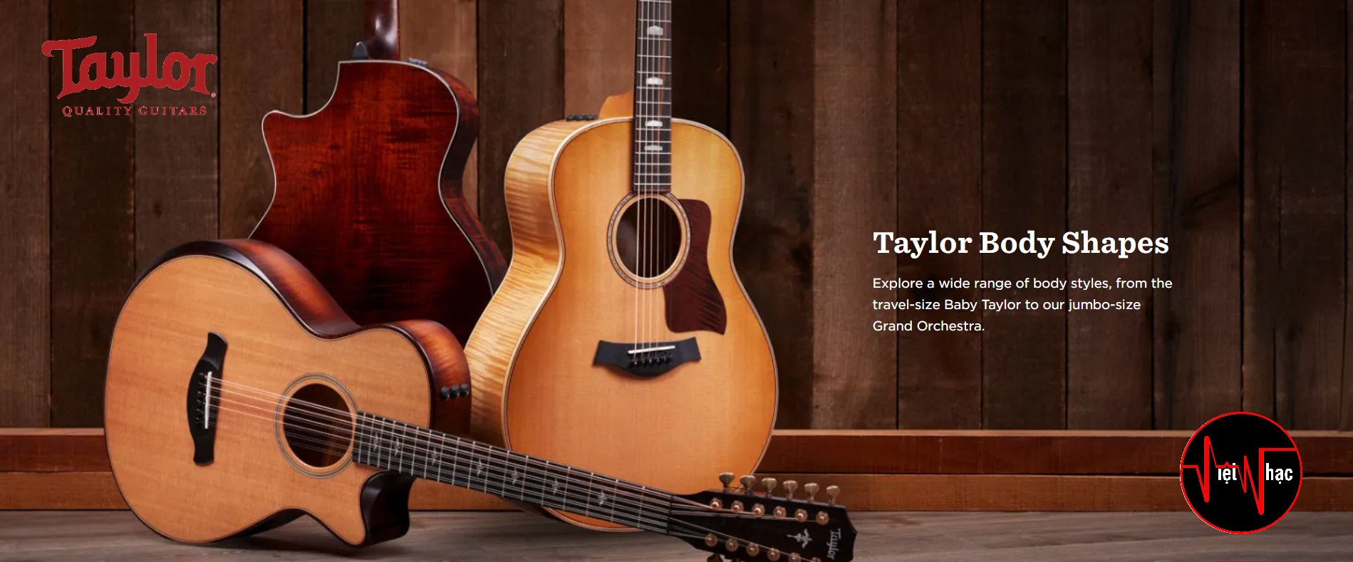 Guitar Acoustic Taylor Academy A10 Natural