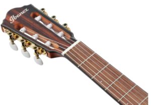 Guitar Điện Nylon Ibanez FRH10N-NTF Thinline Nylon Acoustic-Electric Guitar - Natural