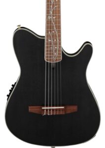 Guitar Điện Nylon Ibanez Signature Tim Henson TOD10N-TKF Transparent Black Flat