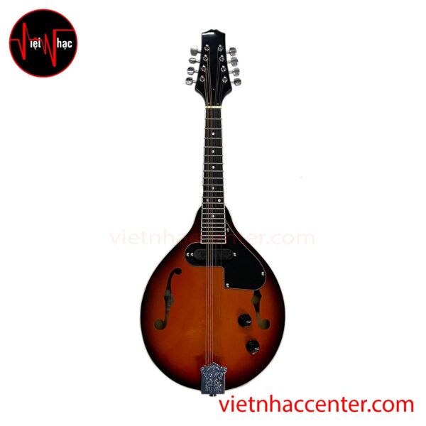 Đàn Mandolin Amati SMD-LE Có EQ