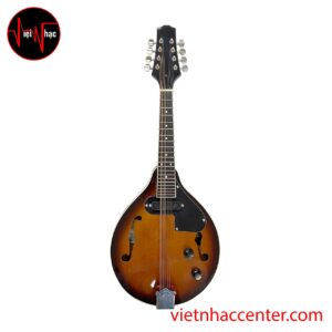 Đàn Mandolin Amati SMD-SE