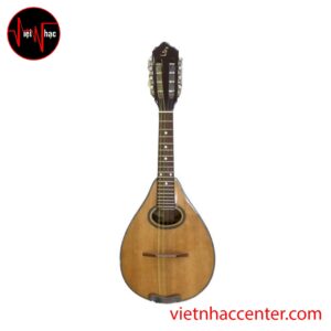 Đàn Mandolin Việt Nam MD100