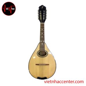 Đàn Mandolin Việt Nam TM-DMT9