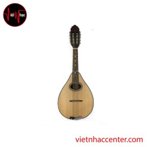 Đàn mandolin Việt Nam TM-MD150