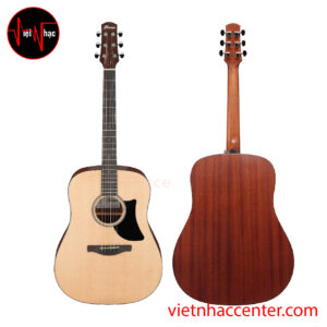 Guitar Acoustic Ibanez AAD50-LG