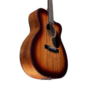 Guitar Acoustic Martin OMC-16E Acoustic-Electric Guitar