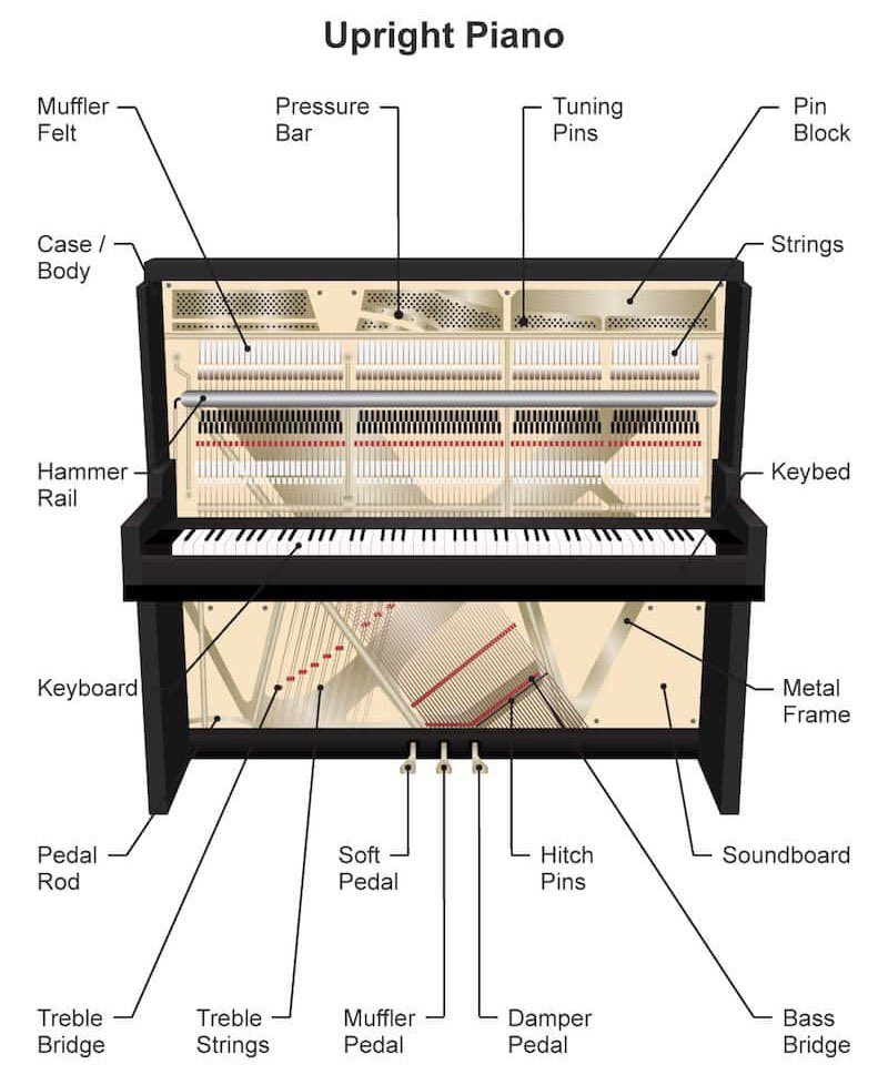 Đàn Upright Piano là gì? Cấu tạo và các kích thước phổ biến