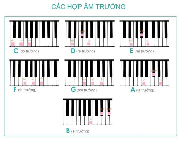 14 Hợp âm piano cơ bản và cách ghi nhớ nhanh chóng, dễ dàng