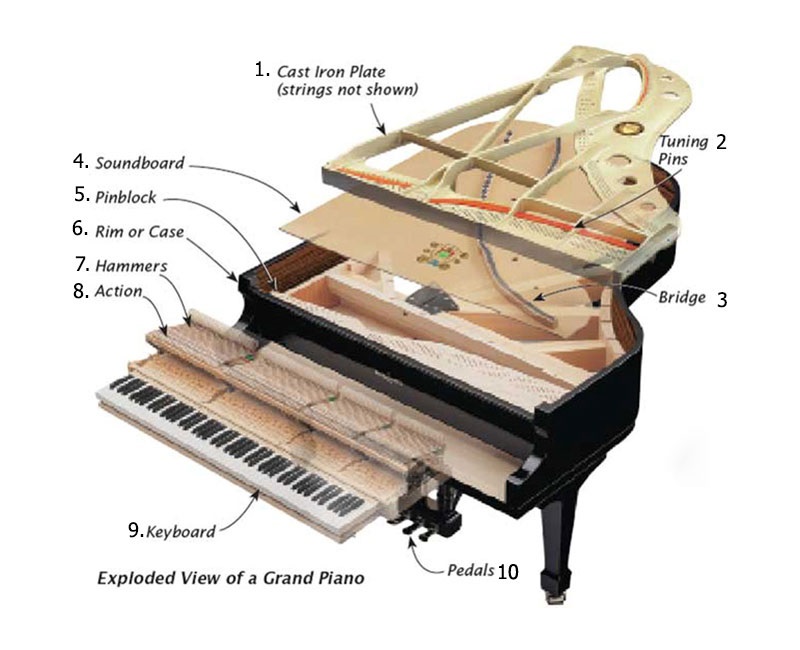 Đàn Piano Là Gì? Tìm Hiểu Về Lịch Sử