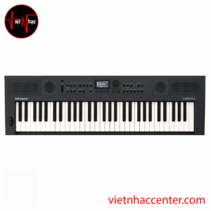 Đàn Organ Roland GO:KEYS 5 Graphite