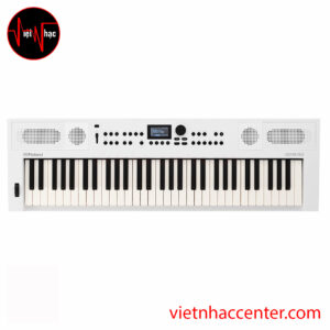 Đàn Organ Roland GO:KEYS 5 Graphite