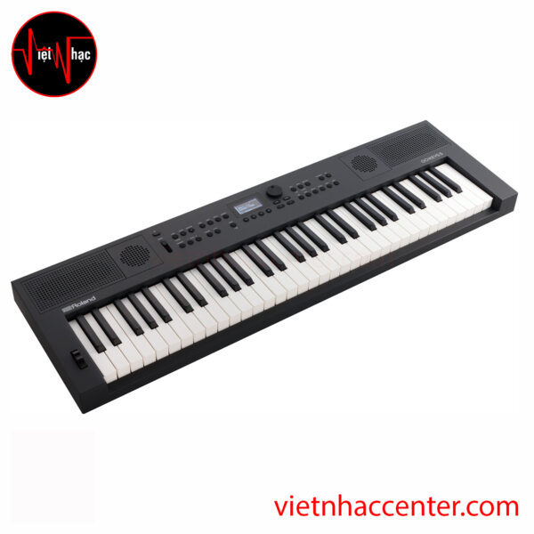 Đàn Organ Roland GO:KEYS 5 Graphite