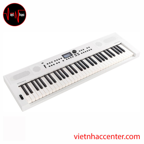 Đàn Organ Roland GO:KEYS 5 Graphite