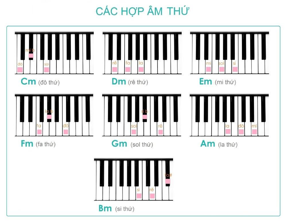 Hợp âm là gì? Các hợp âm cơ bản trên guitar