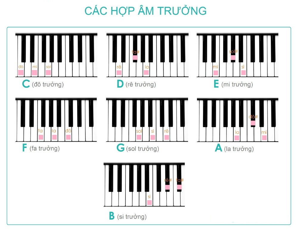 Hợp âm là gì? Các hợp âm cơ bản trên guitar