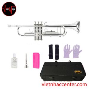 Kèn Trumpet TR-300 - Gold