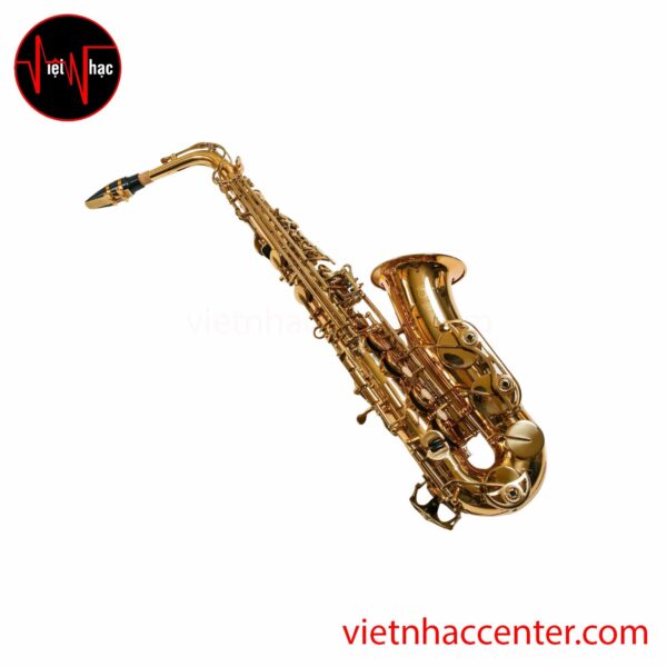 Kèn Saxophone Alto Tony TAS-0209