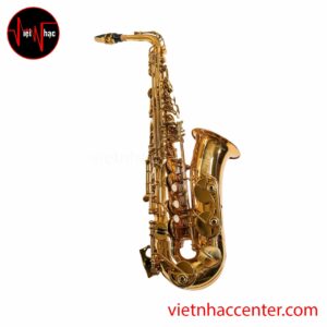 Kèn Saxophone Alto Tony TAS-0209
