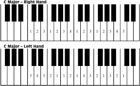 Bắt đầu học scale piano: Cách luyện ngũ cung, trưởng, thứ đúng phương pháp