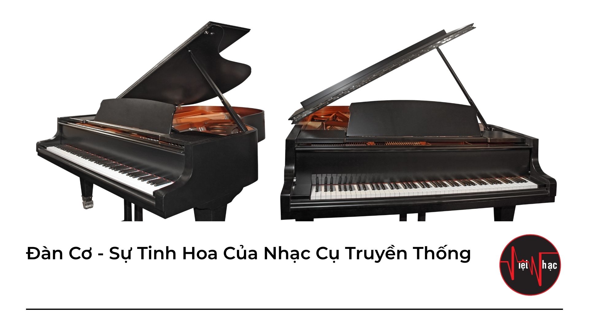 Đàn Cơ - Sự Tinh Hoa Của Nhạc Cụ Truyền Thống | Việt Nhạc Center