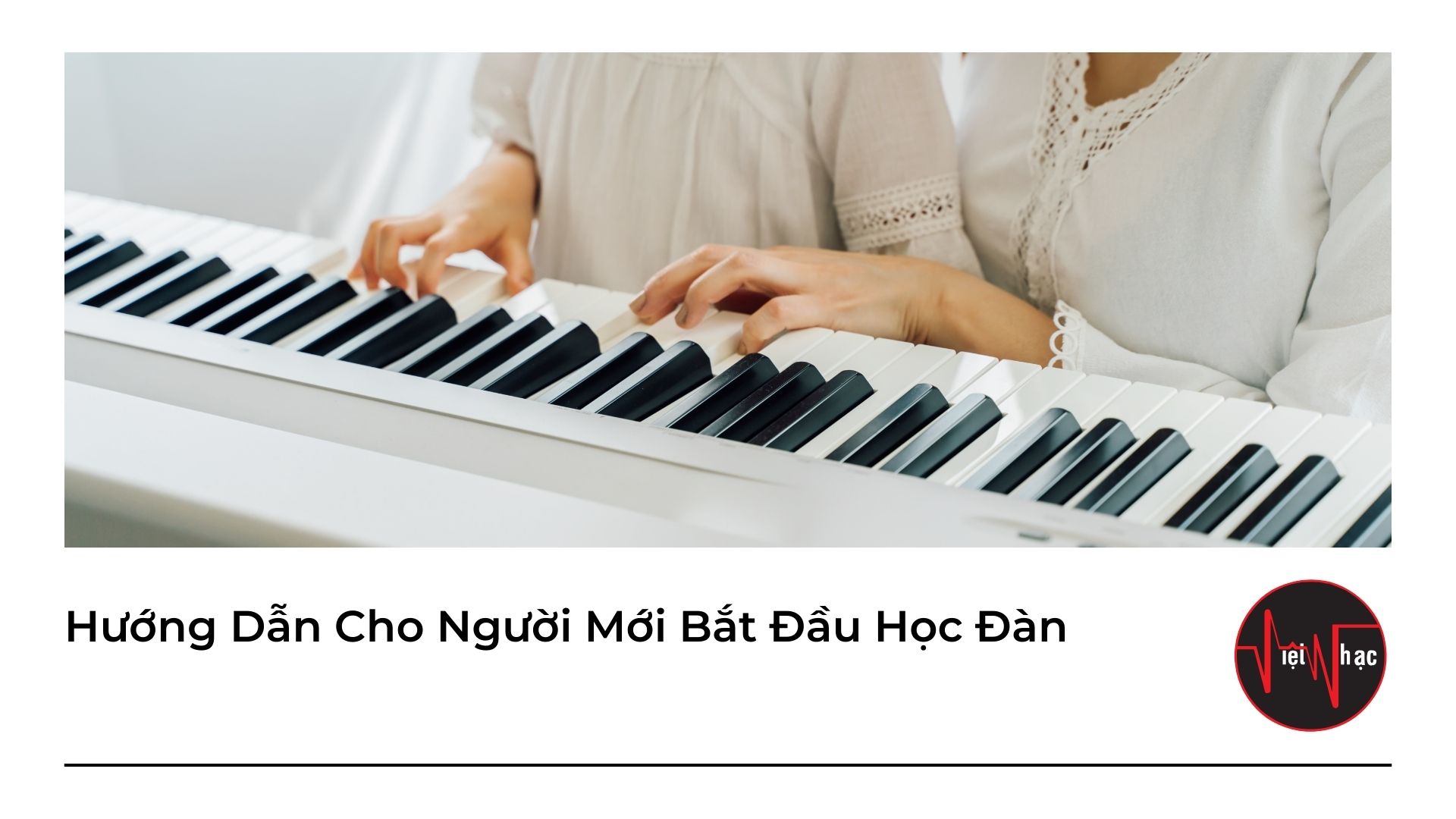 Hướng Dẫn Cho Người Mới Bắt Đầu Học Đàn