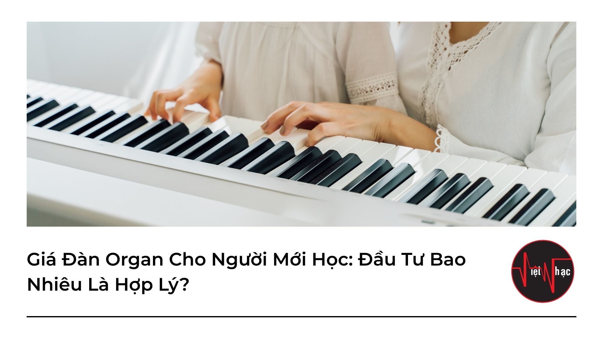 gia dan organ cho nguoi moi hoc