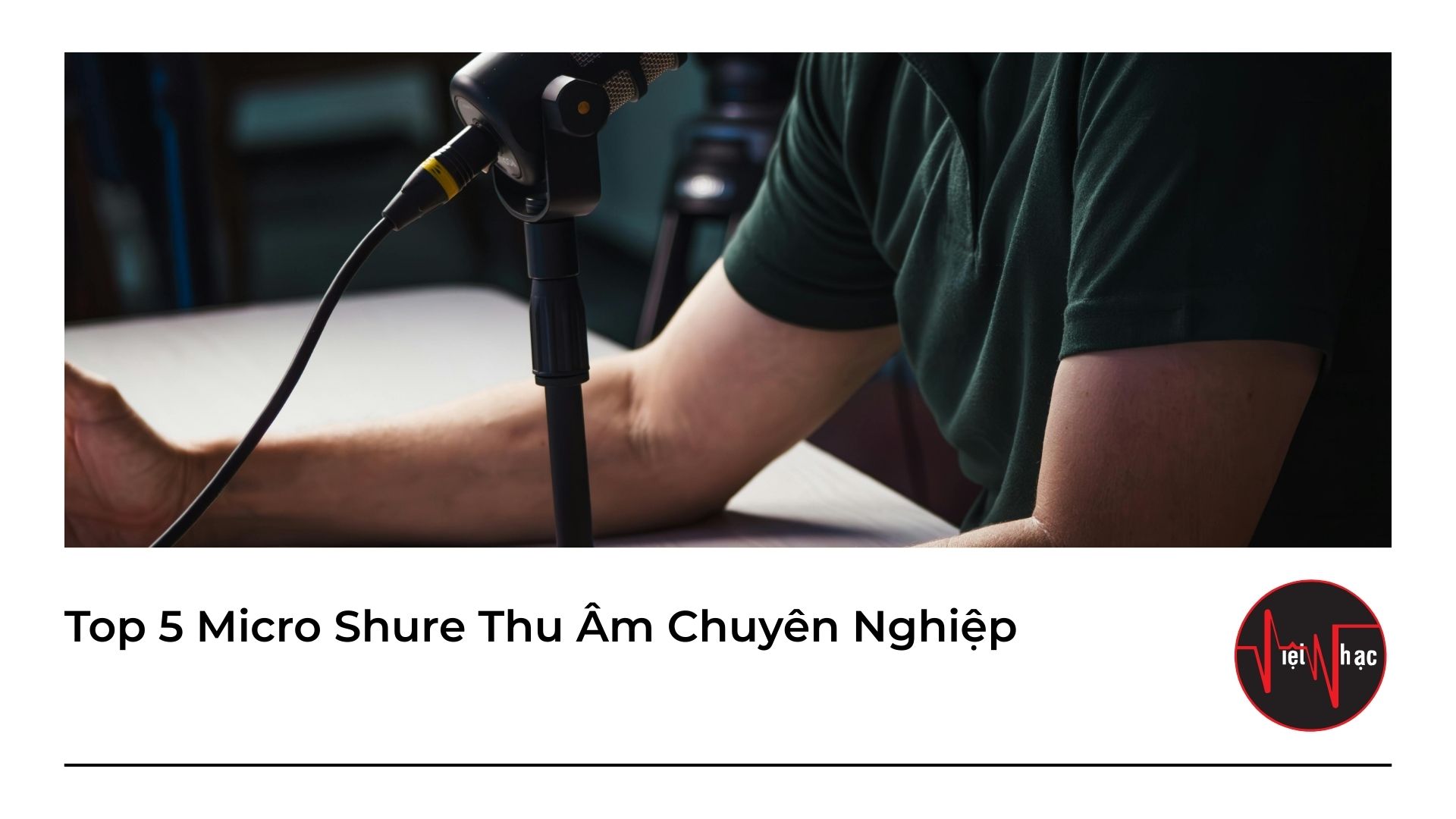 top 5 micro shure thu am