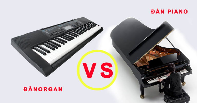 Nên Cho Bé Học Piano Hay Organ